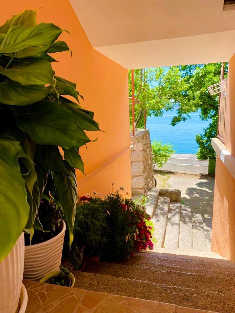 Ferienwohnung Porat Starigrad Paklenica Exterior foto